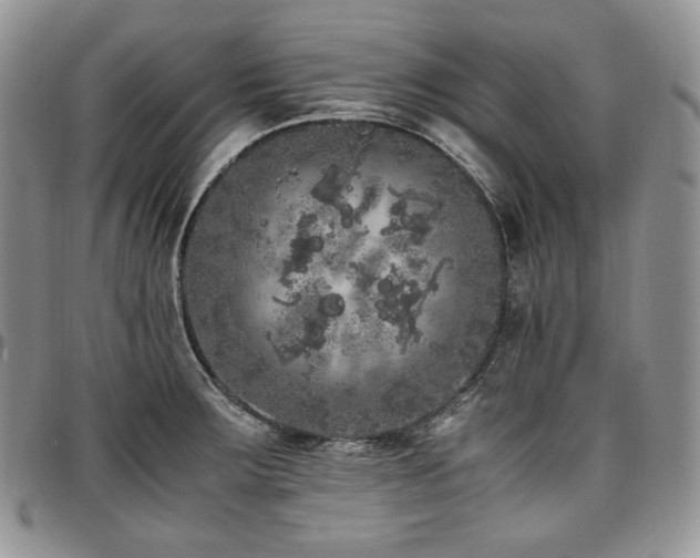 X0000097641283200802291355