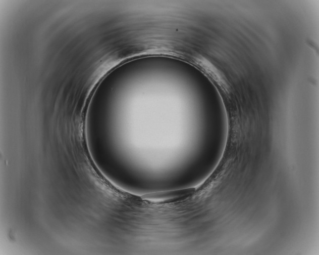X0000097641284200802291355