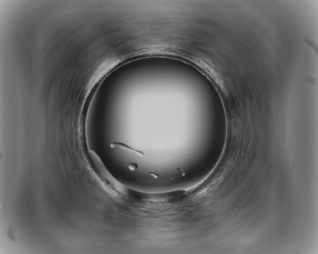 X0000097641285200802291355