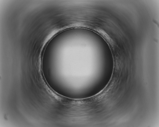 X0000097641286200802291355