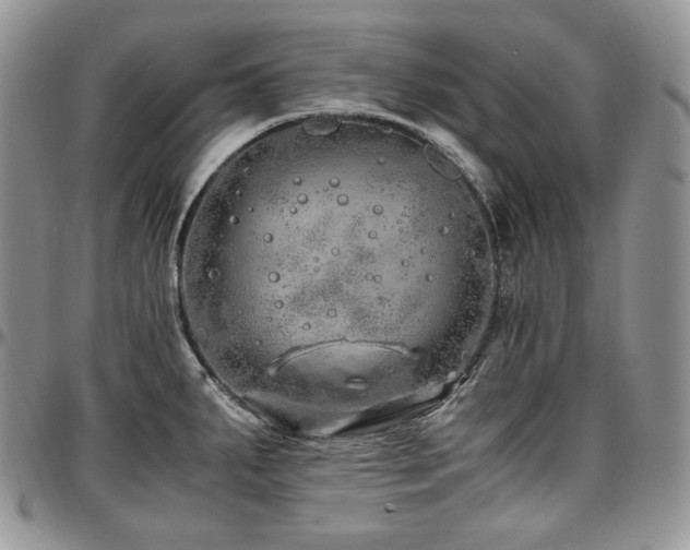 X0000097641287200802291355