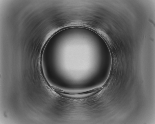X0000097641288200802291355