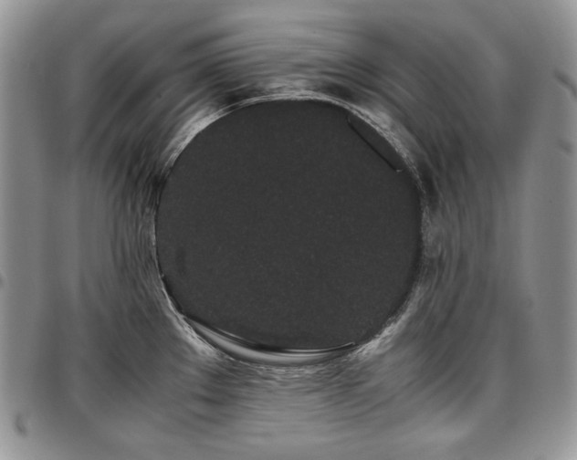 X0000097641289200802291355