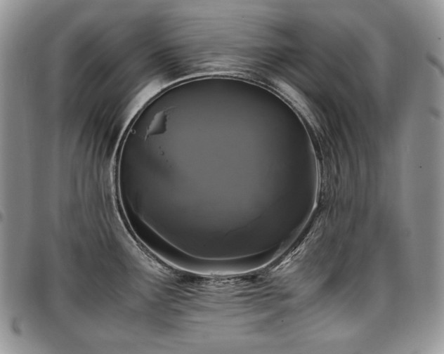 X0000097641291200802291355