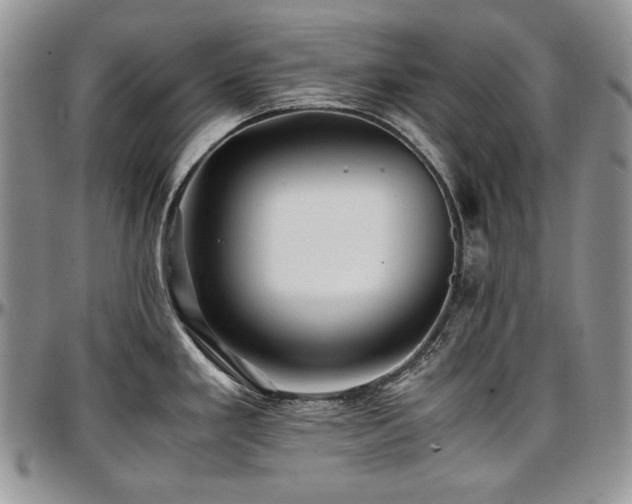 X0000097641293200802291355