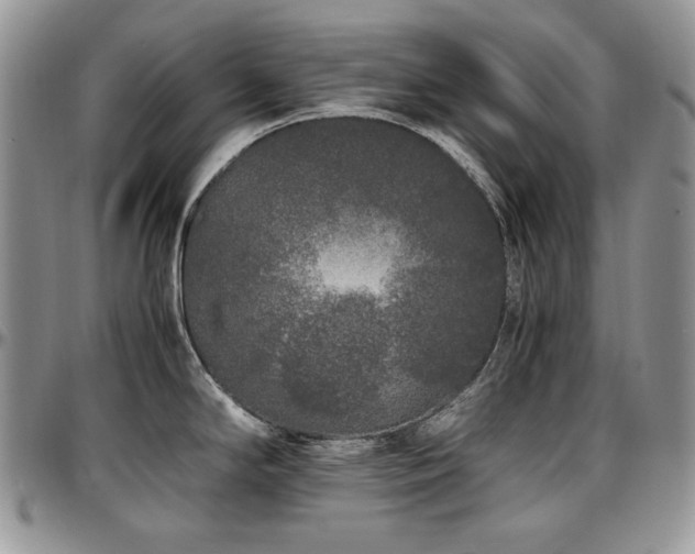 X0000097641294200802291355
