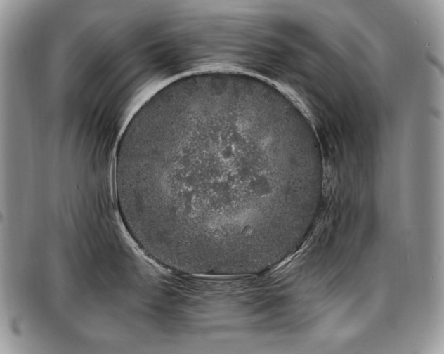 X0000097641295200802291355