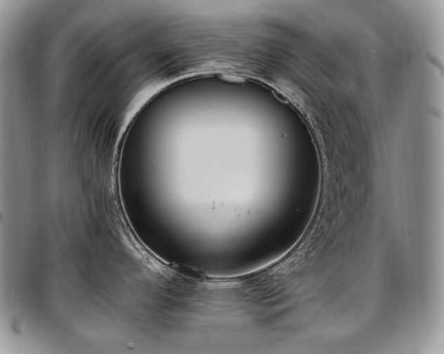 X0000097641296200802291355