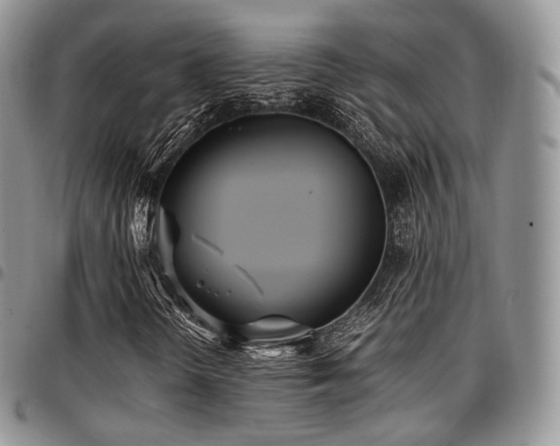 X0000097641298200802291354