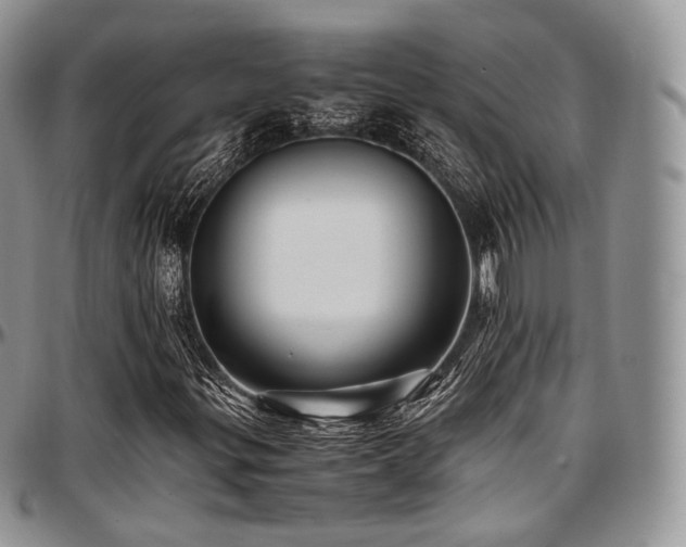 X0000097641299200802291354