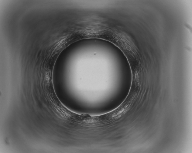 X0000097641300200802291354