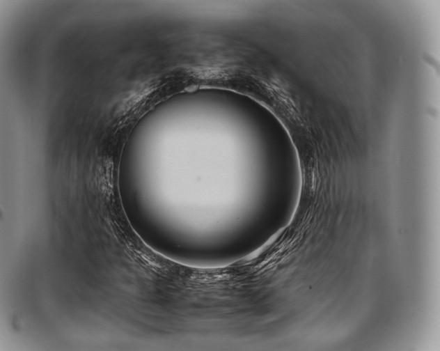 X0000097641301200802291354
