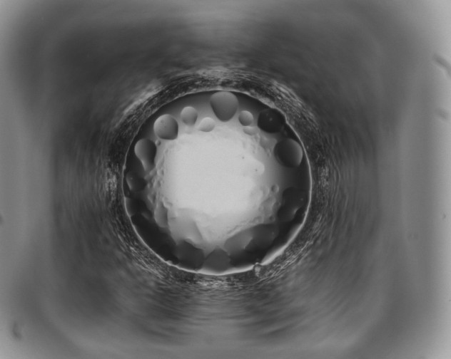 X0000097641302200802291354