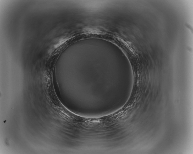 X0000097641303200802291354