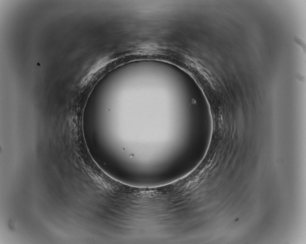 X0000097641304200802291354