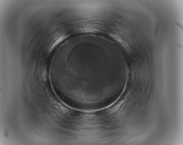 X0000097641306200802291354