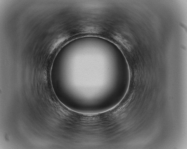 X0000097641307200802291354