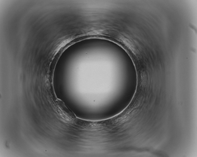 X0000097641308200802291354
