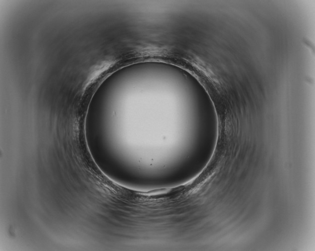 X0000097641309200802291354