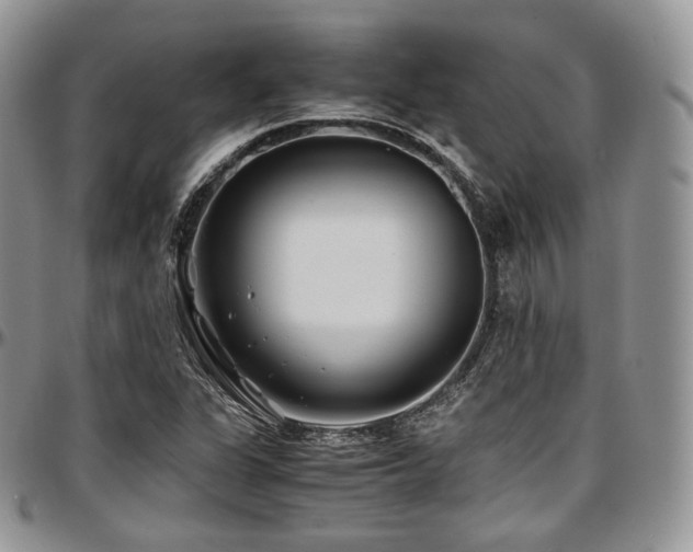 X0000097641311200802291354