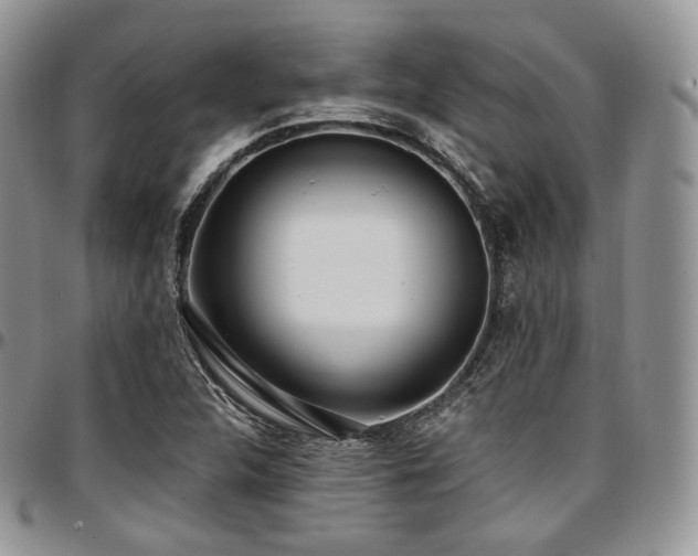 X0000097641312200802291354