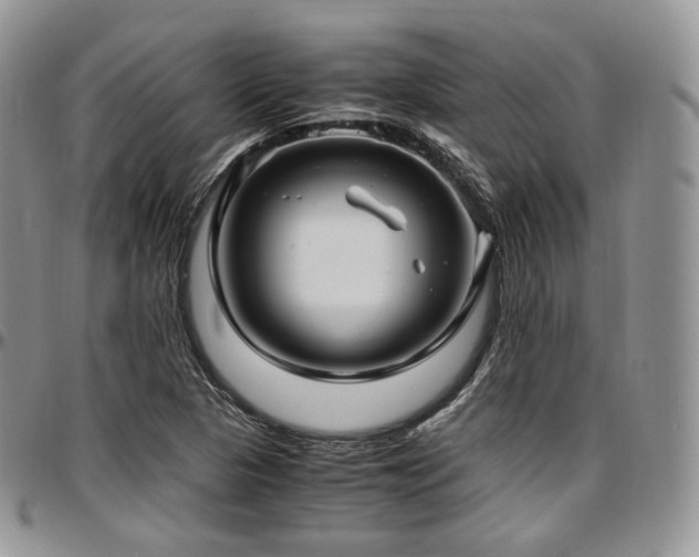 X0000097641313200802291354