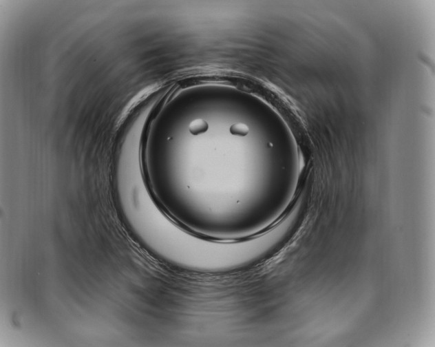 X0000097641314200802291354