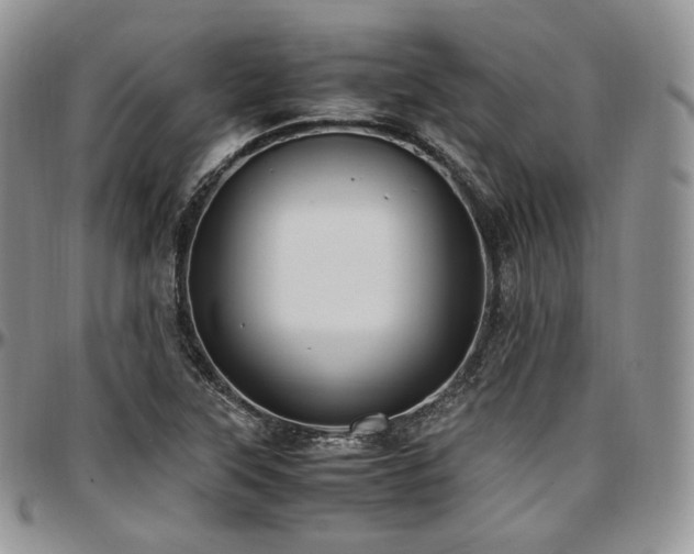 X0000097641315200802291355