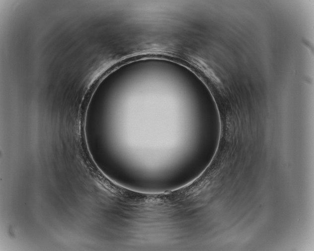 X0000097641316200802291355