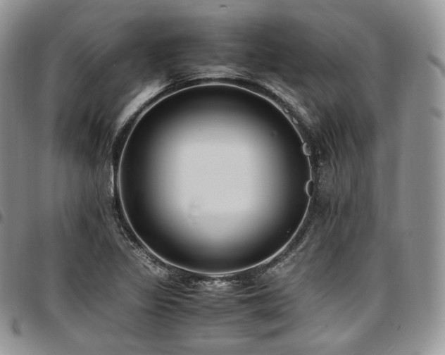 X0000097641317200802291355