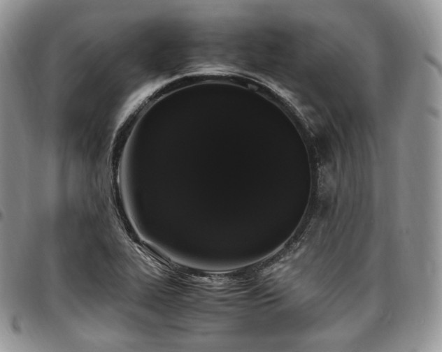 X0000097641319200802291355
