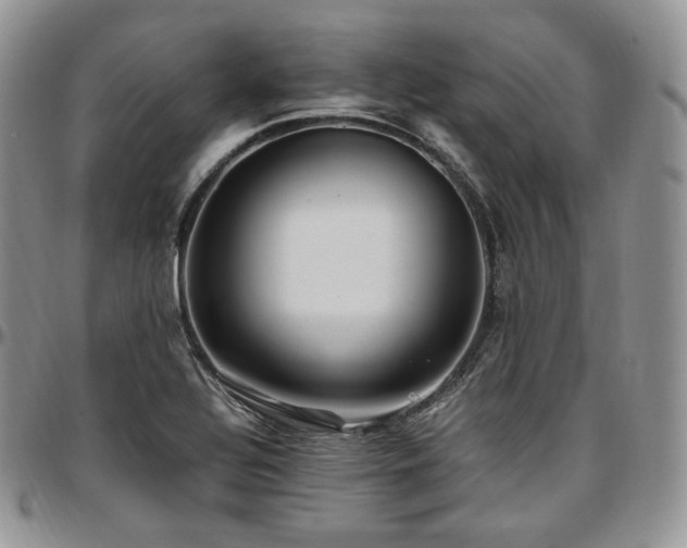 X0000097641320200802291355
