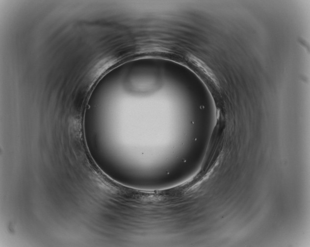 X0000097641321200802291355