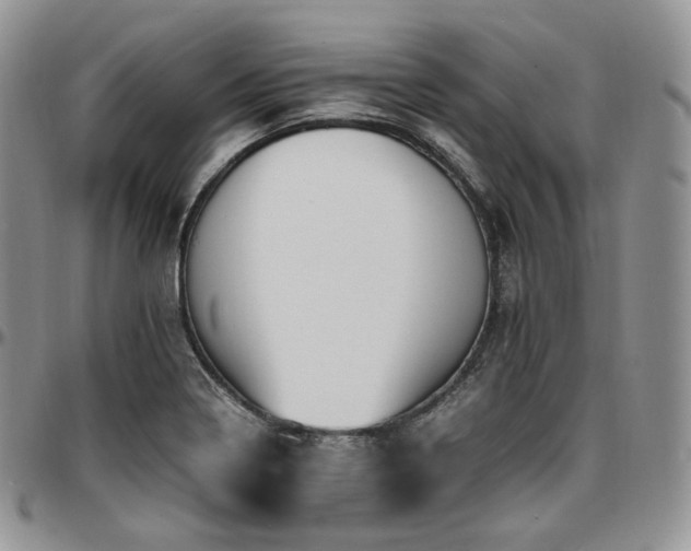 X0000097641322200802291355