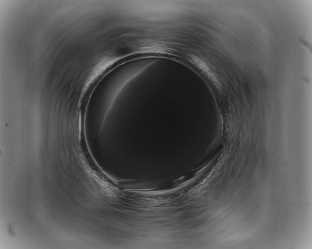 X0000097641323200802291355