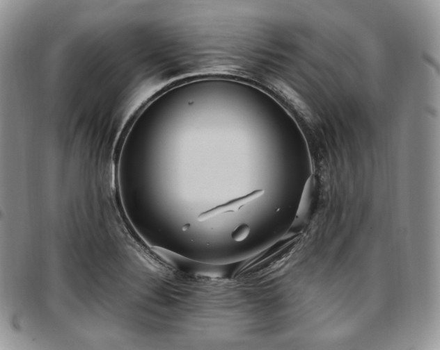 X0000097641324200802291355
