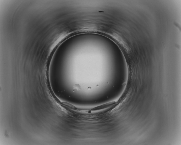 X0000097641325200802291355