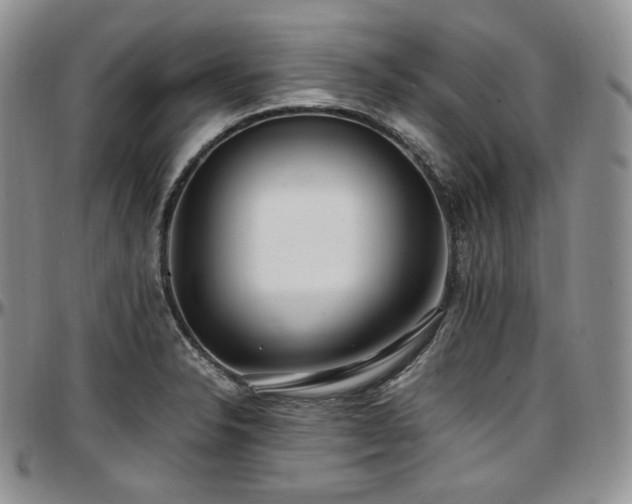 X0000097641326200802291355