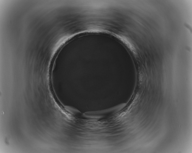 X0000097641327200802291355