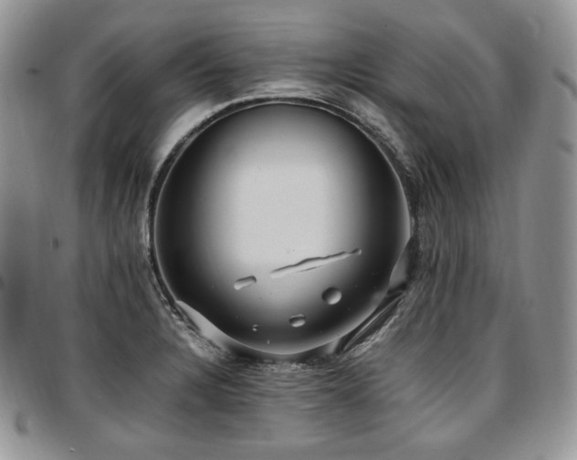 X0000097641328200802291355