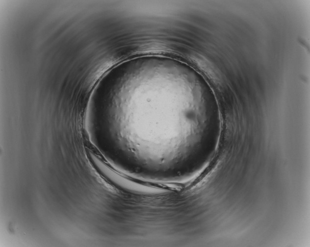 X0000097641329200802291355