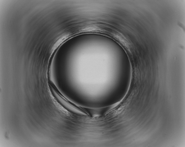 X0000097641330200802291355
