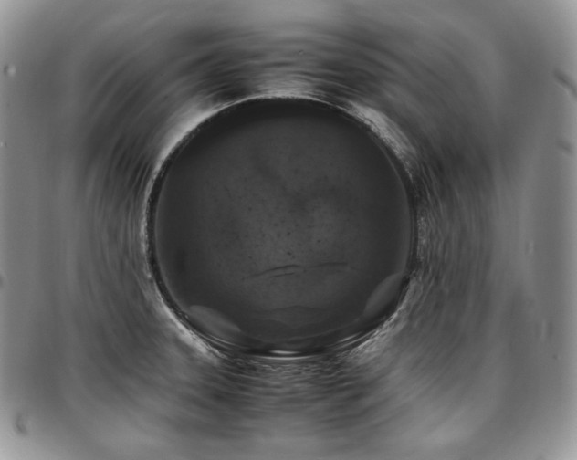 X0000097641331200802291355