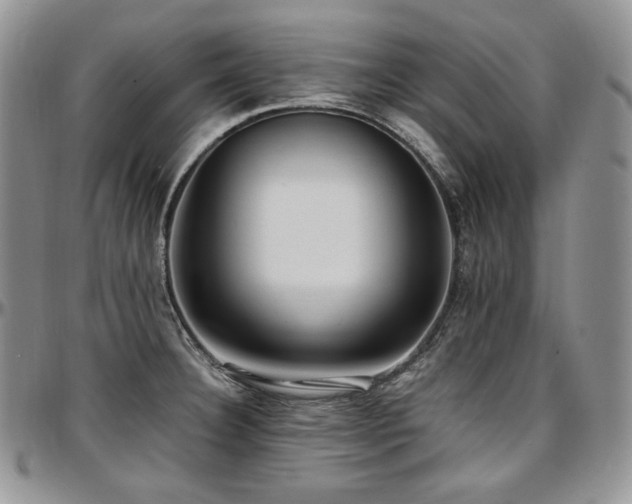 X0000097641332200802291355