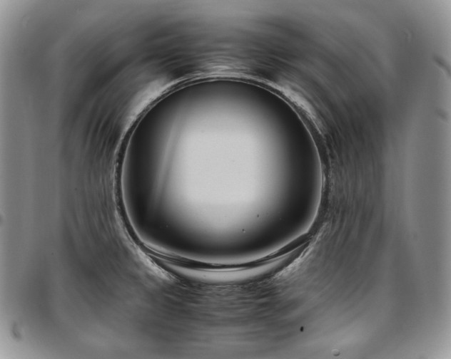 X0000097641333200802291355
