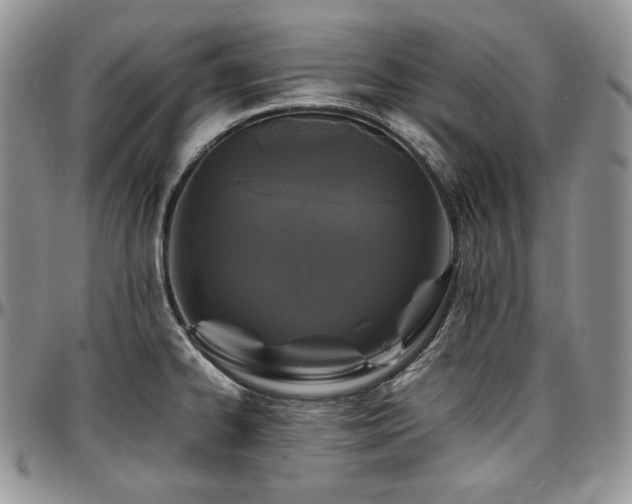 X0000097641334200802291355