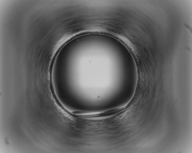 X0000097641335200802291355