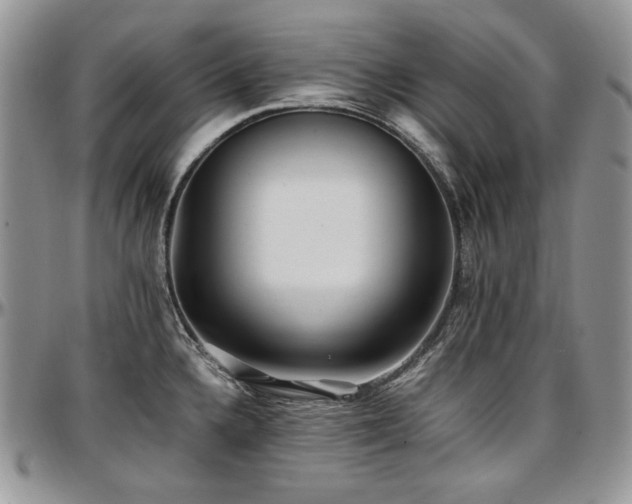 X0000097641336200802291355