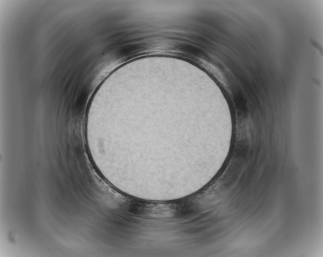 X0000097641338200802291355