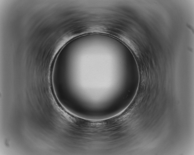 X0000097641339200802291355